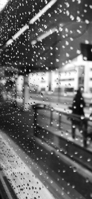芒瓜 App 检索结果界面截图：筛选条件以细线标签横向排布，结果列表按更新时间排序，每条右侧带有来源标注